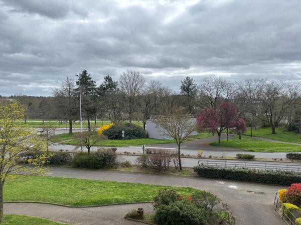 Appartement à LE MANS, 72000 - 1 pièce 33m²