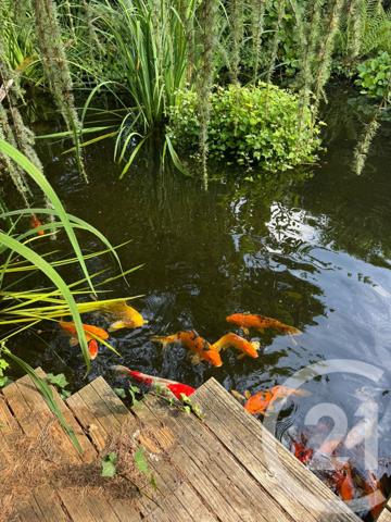 Maison à vendre  7 pièces - 190 m2 MONTGERON - 91