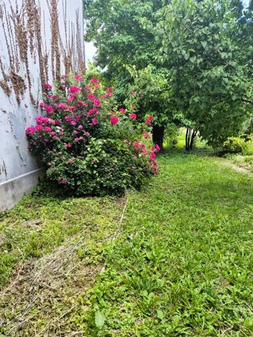 BETHUNE- Jardin Public Maison Familiale Tout Confort
