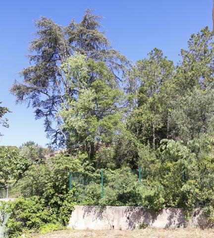 Saint-Georges-d'Orques (34680) Villa plain-pied piscinable