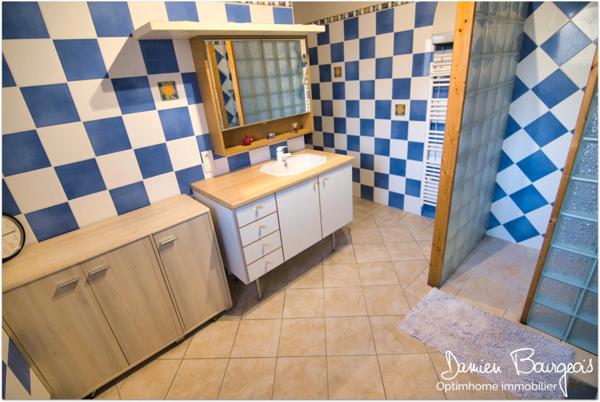 Maison individuelle avec son local dans un environnement exceptionnel au fond d'une impasse