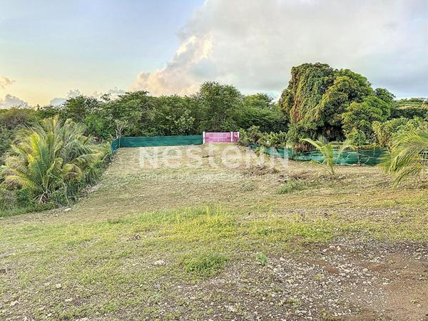 A vendre terrain de 400m2 constructible a GISSAC SAINTE-ANNE proche de la plage de Bois-Jolan