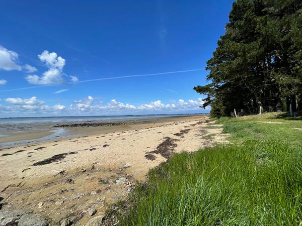 Terrain  à Sarzeau, le golfe à pied.
