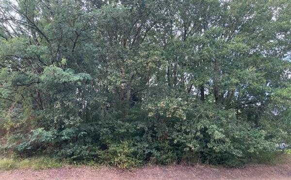 Terrain 130 800 € Magescq 1098 m² DPE