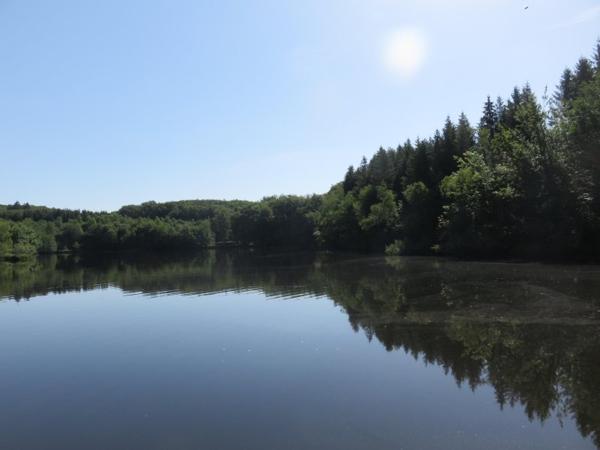 Vente / Terrain de loisirs à Servance-Miellin (70440)