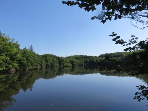 Vente / Terrain de loisirs à Servance-Miellin (70440)