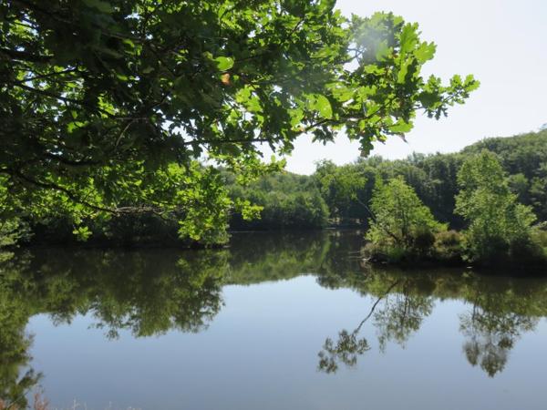 Vente / Terrain de loisirs à Servance-Miellin (70440)