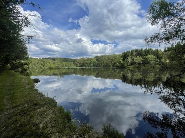 Vente / Terrain de loisirs à Servance-Miellin (70440)
