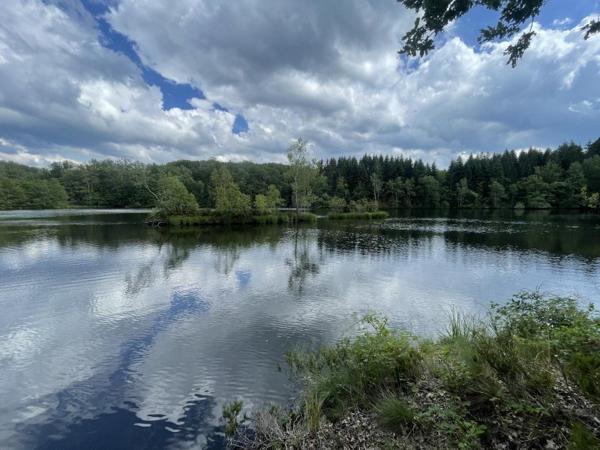 Vente / Terrain de loisirs à Servance-Miellin (70440)