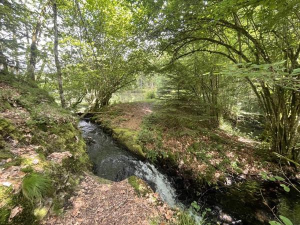 Vente / Terrain de loisirs à Servance-Miellin (70440)