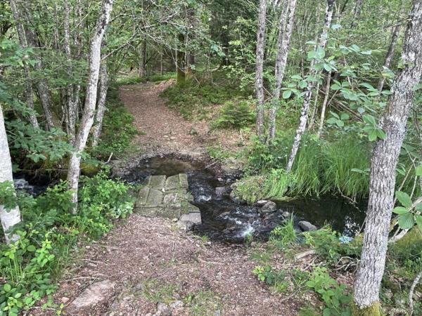 Vente / Terrain de loisirs à Servance-Miellin (70440)