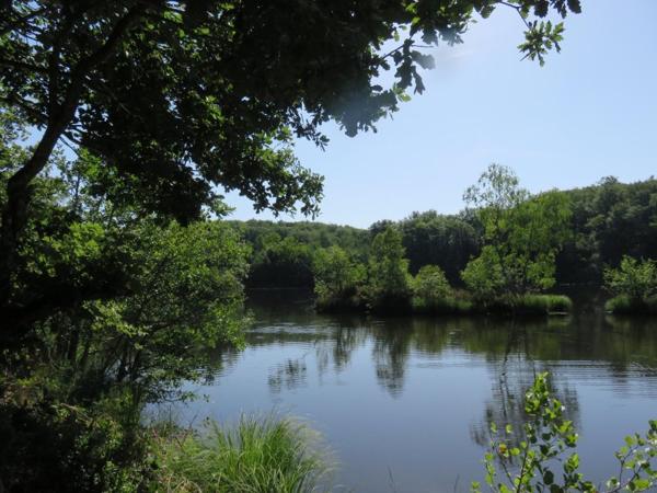 Vente / Terrain de loisirs à Servance-Miellin (70440)