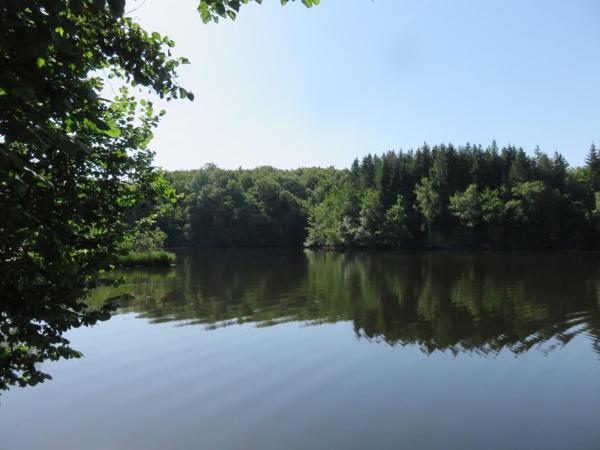 Vente / Terrain de loisirs à Servance-Miellin (70440)