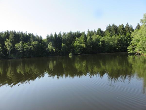 Vente / Terrain de loisirs à Servance-Miellin (70440)