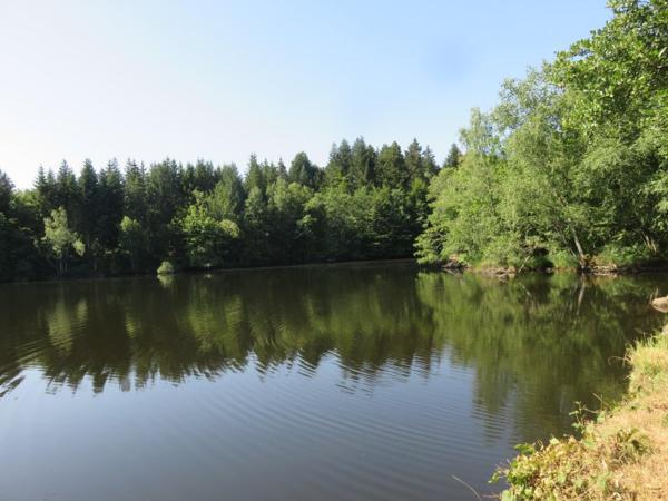 Vente / Terrain de loisirs à Servance-Miellin (70440)