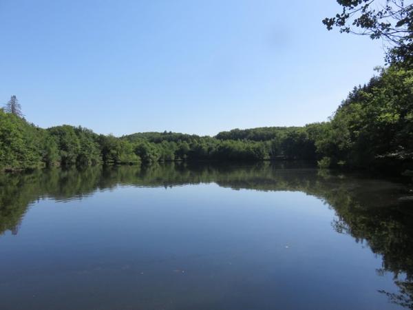 Vente / Terrain de loisirs à Servance-Miellin (70440)