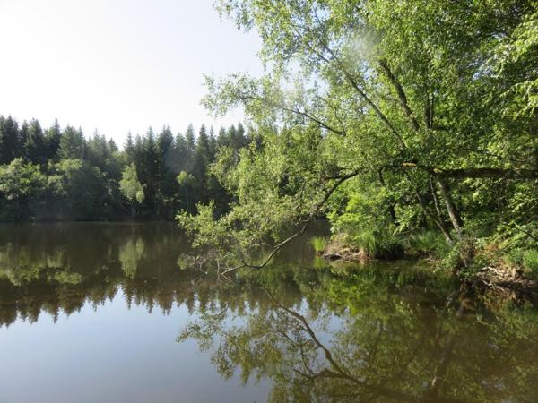 Vente / Terrain de loisirs à Servance-Miellin (70440)