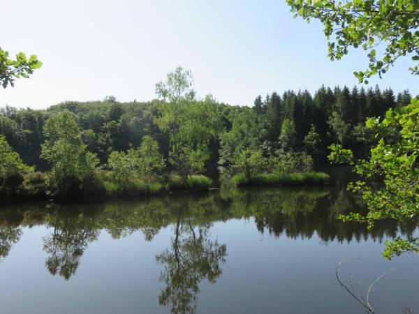 Vente / Terrain de loisirs à Servance-Miellin (70440)
