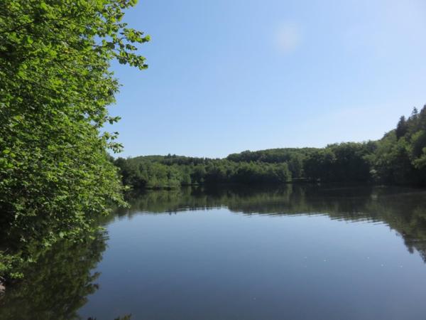 Vente / Terrain de loisirs à Servance-Miellin (70440)