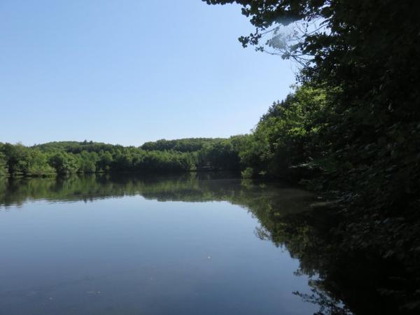 Vente / Terrain de loisirs à Servance-Miellin (70440)