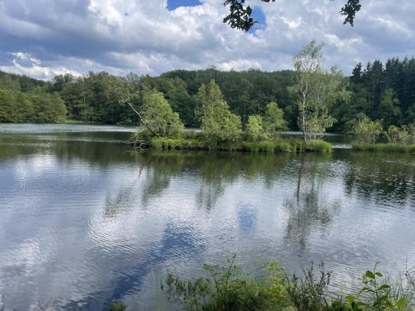 Vente / Terrain de loisirs à Servance-Miellin (70440)