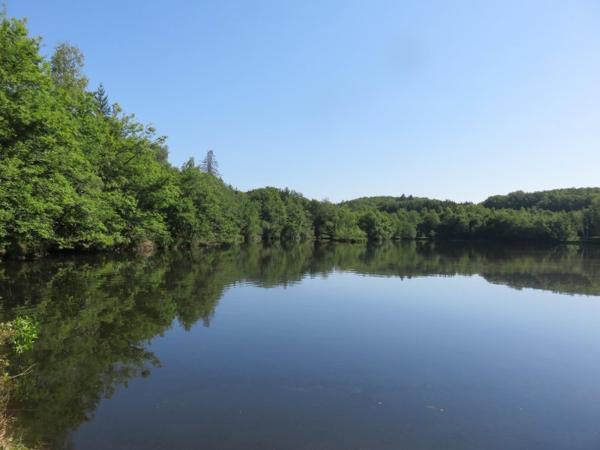 Vente / Terrain de loisirs à Servance-Miellin (70440)