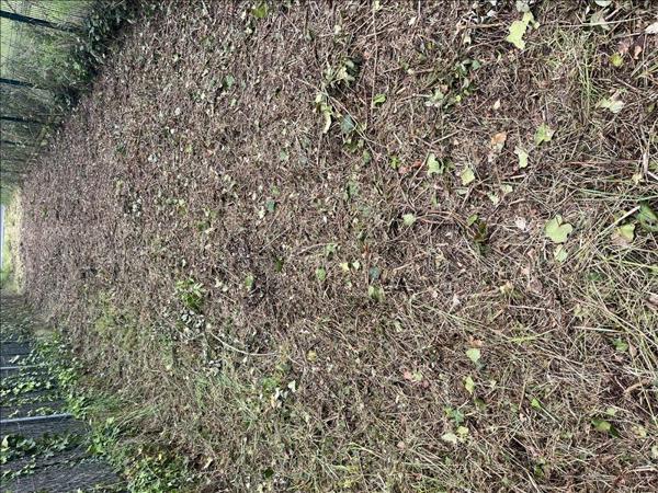 Terrain à vendre |  Nazelles-Négron |  454 m²