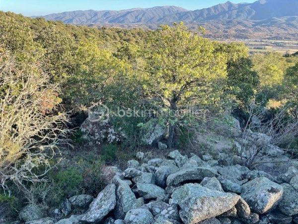 Terrain agricole de 5 665 m²