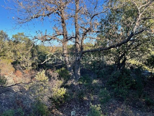 Terrain agricole de 5 665 m²