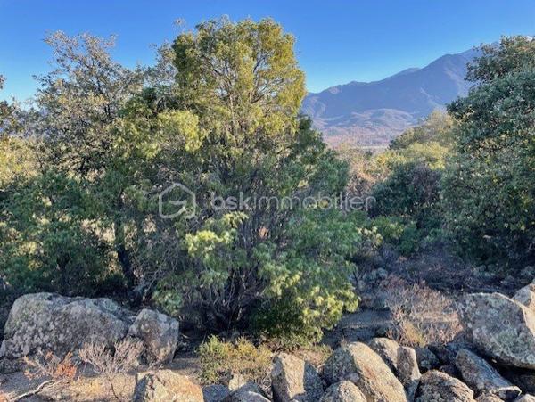 Terrain agricole de 5 665 m²