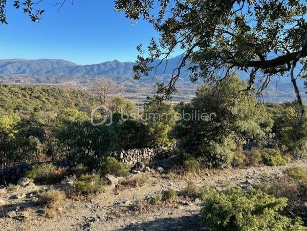 Terrain agricole de 5 665 m²