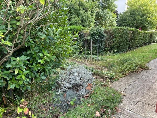 Maison plain-pied, jardin, garage