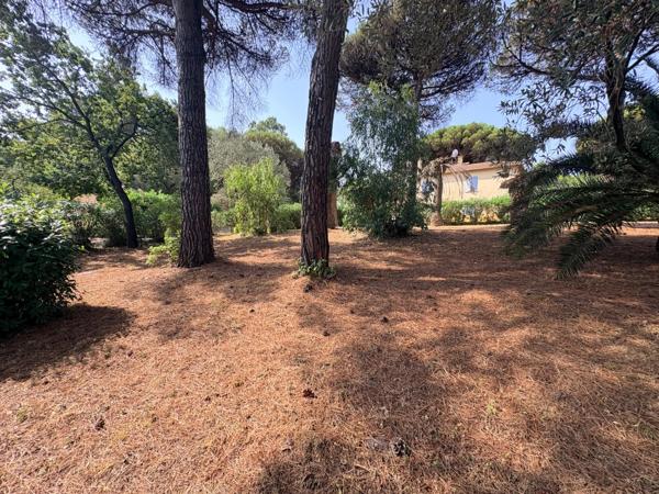 Opportunité rare : Maison avec fort potentiel d'extension / Projet de rénovation ou nouvelle maison