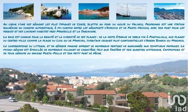 Appartement à vendre 2 pièces 50 m² Propriano