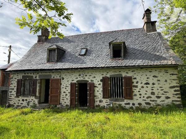 A VENDRE, proche du site du Puy Mary et de la ville pittoresque de SALERS (Cantal), dans un pet...