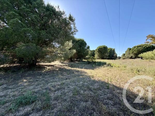 Terrain à vendre  5741 m 2   MARSEILLAN  - 34
