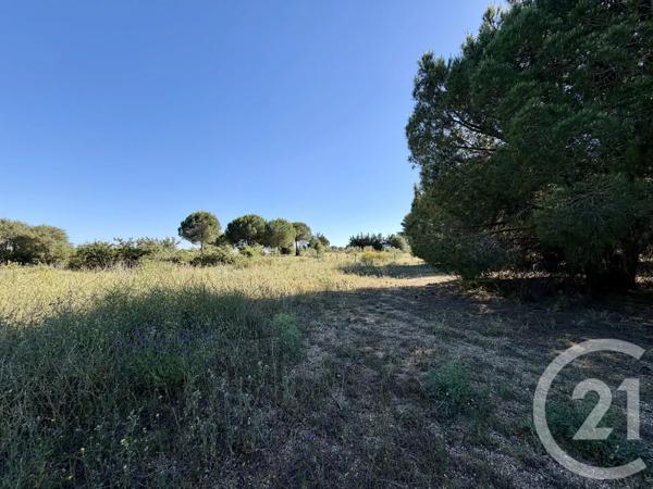 Terrain à vendre  5741 m 2   MARSEILLAN  - 34