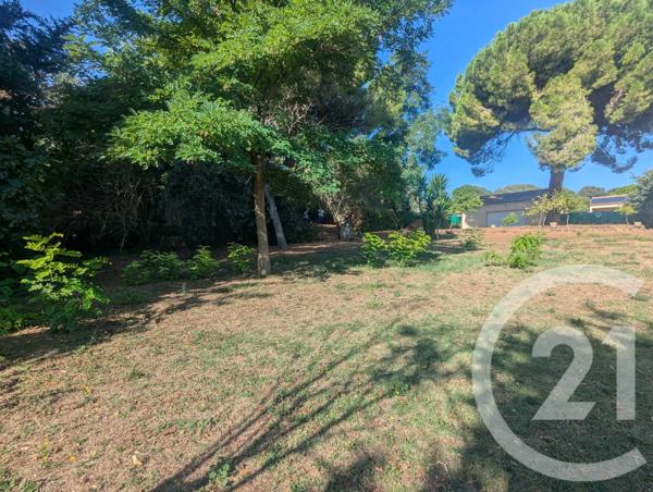Terrain à vendre  5741 m 2   MARSEILLAN  - 34