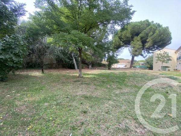 Terrain à vendre  5741 m 2   MARSEILLAN  - 34
