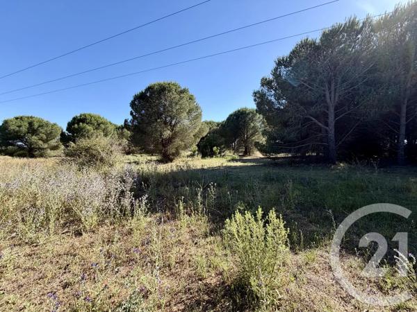 Terrain à vendre  5741 m 2   MARSEILLAN  - 34