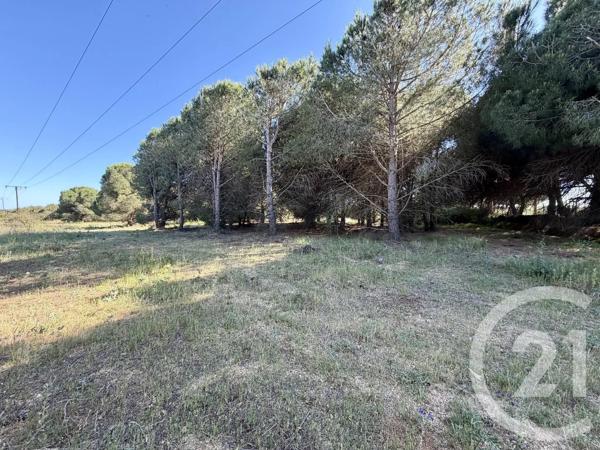 Terrain à vendre  5741 m 2   MARSEILLAN  - 34