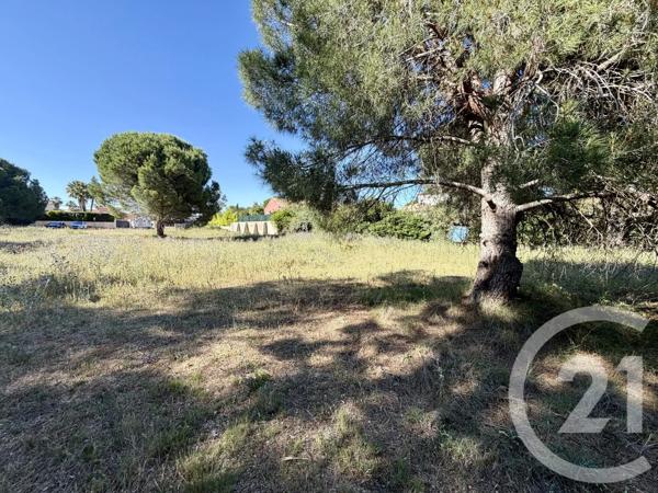Terrain à vendre  5741 m 2   MARSEILLAN  - 34