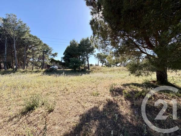 Terrain à vendre  5741 m 2   MARSEILLAN  - 34