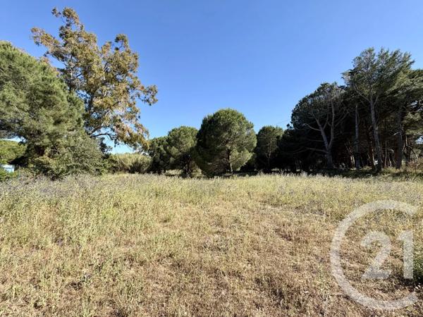 Terrain à vendre  5741 m 2   MARSEILLAN  - 34