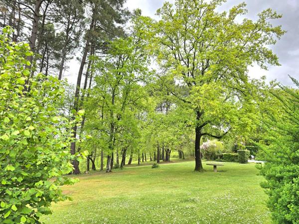 Propriété  de type 8, édifiée sur un terrain arboré de 16161 m², piscine, garage et dépendances
