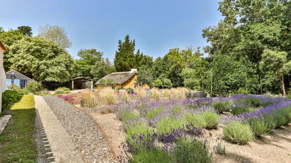 PROPRIETE DE CHARME - VENDEE