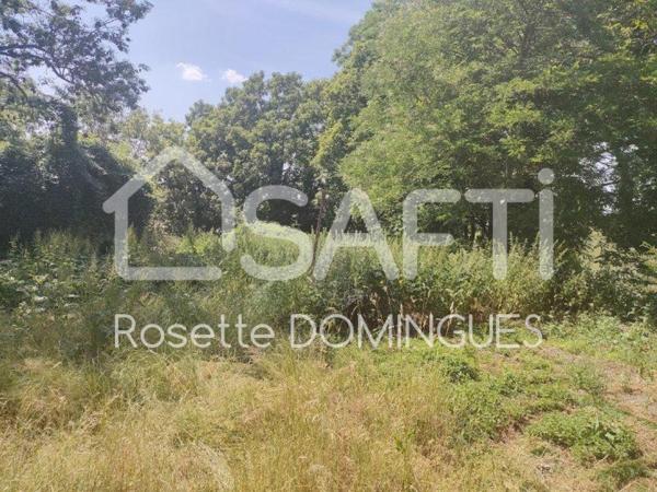 Je vous présente « LA MAISON DE L'ARTISTE » ENSEMBLE IMMOBILIER  à rénover.