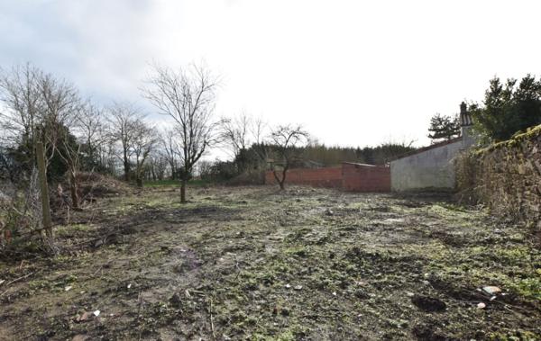 Vente Maison REF : ALBIZIA à rénover La seguiniere   