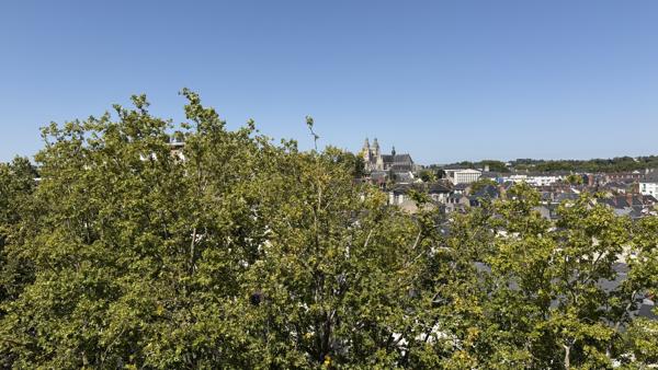 Appartement T2 avec balcon et cave à Tours