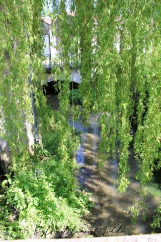 GRANDE MAISON BOURGEOISE A RENOVER